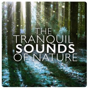 อัลบัม The Tranquil Sounds of Nature ศิลปิน Tranquil Music Sounds of Nature