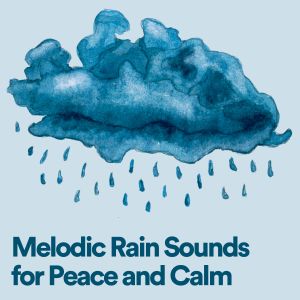Album Melodic Rain Sounds for Peace and Calm oleh Rain Sounds FX