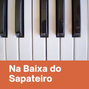 Album Na Baixa do Sapateiro oleh Bola Sete