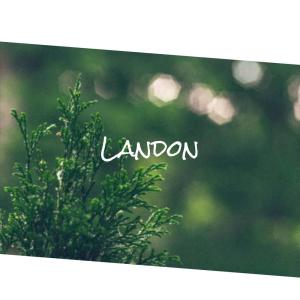 ดาวน์โหลดและฟังเพลง Filipino Areca พร้อมเนื้อเพลงจาก Millad Rusa