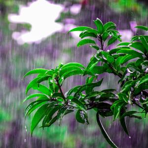 收聽AirConnection的Rain Falls Down歌詞歌曲
