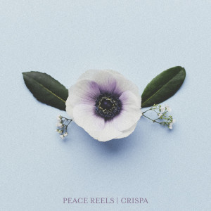 Listen to The Vineyard song with lyrics from Peace Reels