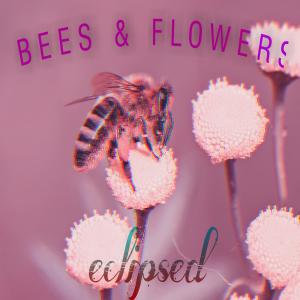 Album Bees & Flowers from Eclipsed