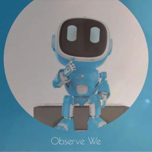 Various的专辑Observe We