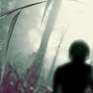 收听Awake的Everglow歌词歌曲