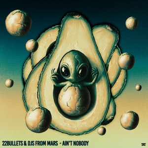 อัลบัม Ain’t Nobody ศิลปิน 22 Bullets