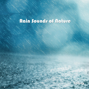 Dengarkan lagu Rain Sound (White Noise, ASMR, Nature Sound) nyanyian J.Roomy dengan lirik