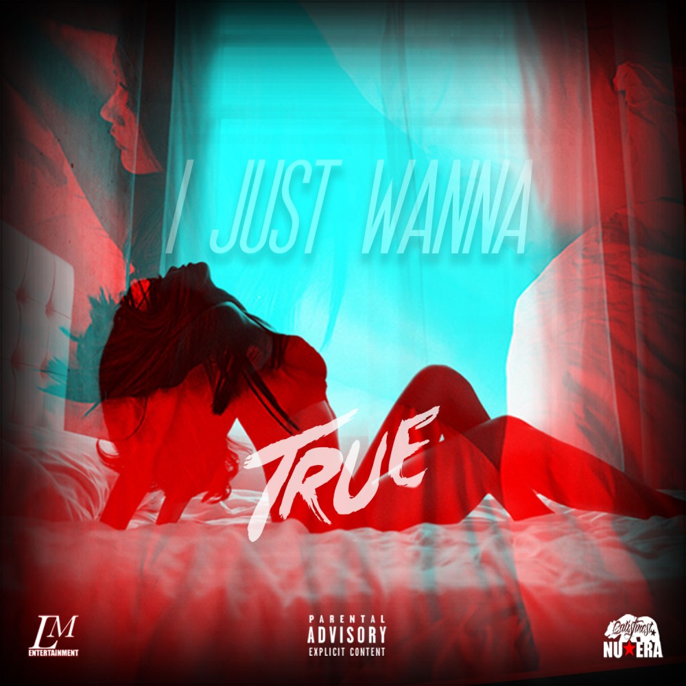 I Just Wanna (Explicit)