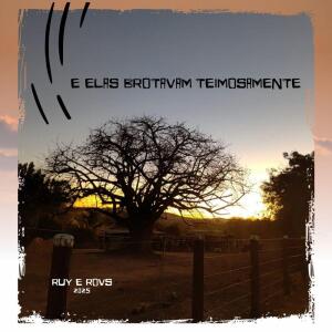 Listen to Meu Axé song with lyrics from Tonho Matéria