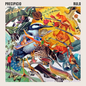 Album Precipicio from Rulo