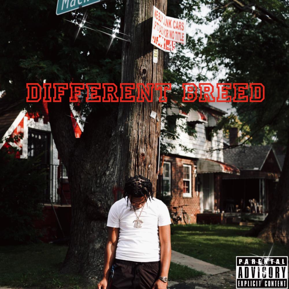 Everybody Get Money (feat. Lil Manny, Glenny8 & Kingm8ney) (Explicit)