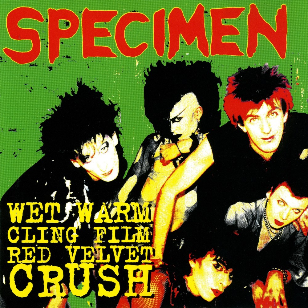 Wet Warm Clingfilm Red Velvet Crush (Live)