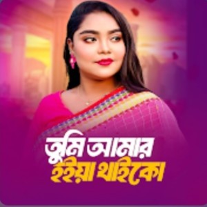 Listen to Tumi Amar Hoiya Thaiko Tiktok-1 song with lyrics from Sharmin Akter