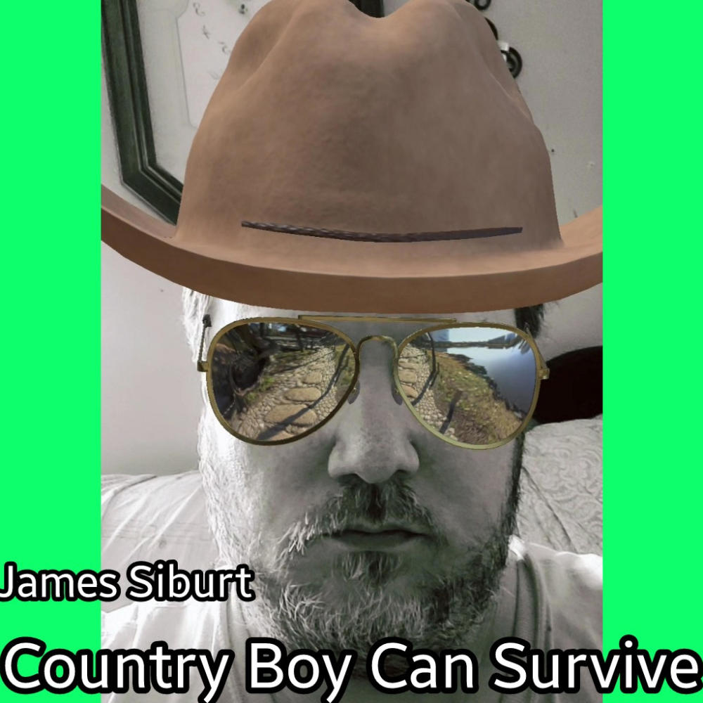 Country Boy Can Survive (feat. 8bfr)