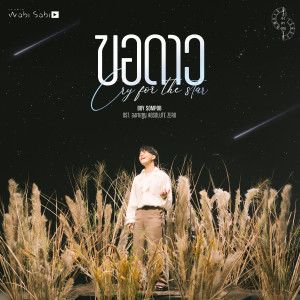 Listen to ขอดาว - Original Soundtrack From "Absolute Zero Series องศาสูญ" song with lyrics from บอย สมภพ