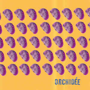 อัลบัม Orchidée ศิลปิน Schmack