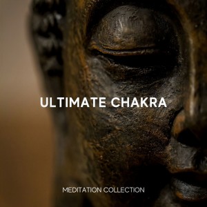 收聽Meditation Guru的Crown Chakra Note B歌詞歌曲