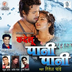 收聽Ritesh Pandey的Ka Delu Pani Pani歌詞歌曲