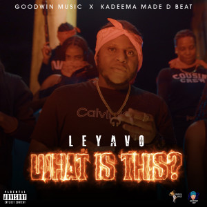 อัลบัม What Is This (Explicit) ศิลปิน Leyavo