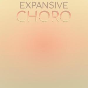 Album Expansive Choro from Various