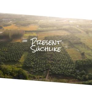 Listen to Present Suchlike song with lyrics from Daleen Bhaa