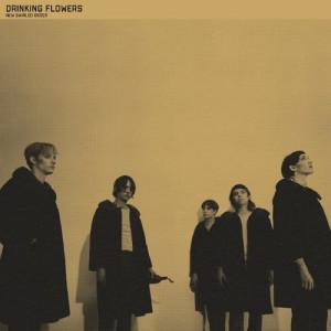 อัลบัม New Swirled Order ศิลปิน Drinking Flowers