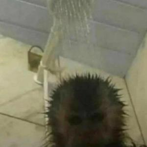 收聽yves的neurotic (feat. sacreds) (Explicit)歌詞歌曲