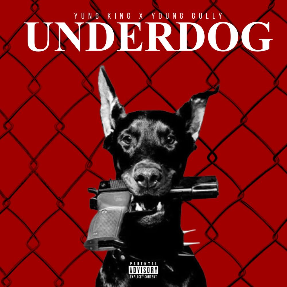 Underdog (feat. Young Gully) (Explicit)