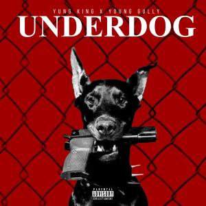 Young Gully的專輯Underdog (feat. Young Gully) [Explicit]