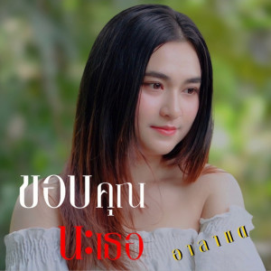 Listen to ขอบคุณนะเธอ song with lyrics from อาลาแต