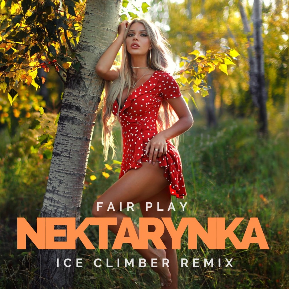 Nektarynka (Ice Climber Remix)