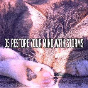 Listen to Thundering Downpour song with lyrics from Rain Sounds