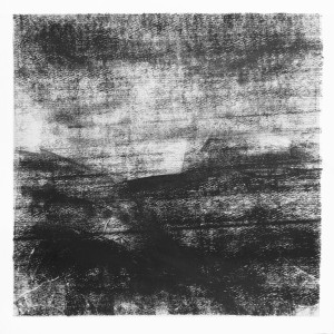 Album Flora from VLMV