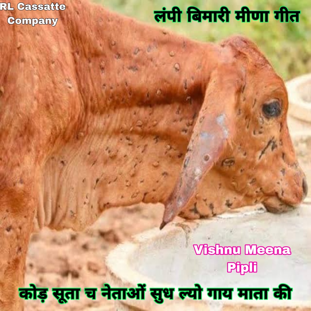 Kode Suta Cha Netao Sudh Lyo Gay Mata Ki