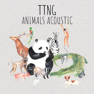 TTNG的專輯Animals Acoustic