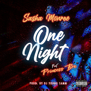 Listen to One Night (Explicit) song with lyrics from Sasha Monroe