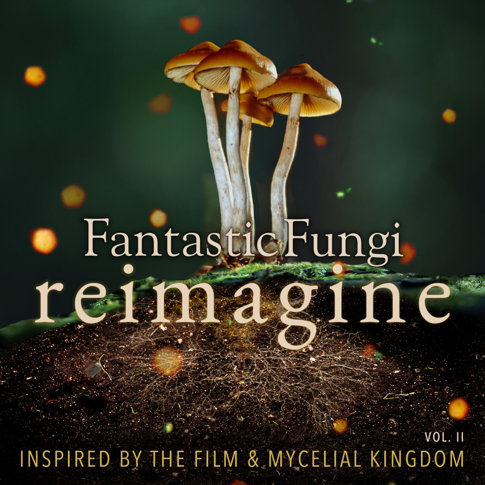 All Related (Fantastic Fungi Mix)