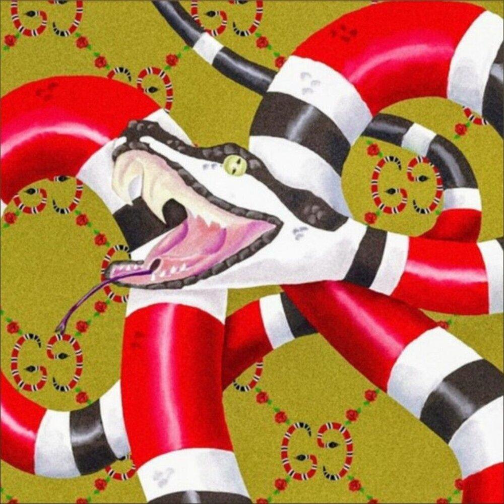 Gucci Snakes (Explicit)