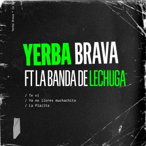ดาวน์โหลดและฟังเพลง Te Vi / Ya No Llores Muchachita / La Plazita พร้อมเนื้อเพลงจาก Yerba Brava