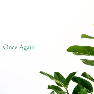 ดาวน์โหลดและฟังเพลง Once Again พร้อมเนื้อเพลงจาก 에이피아노