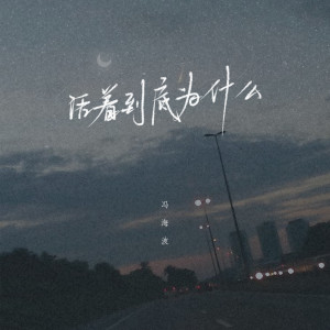 Listen to 活着到底为什么 (伴奏) song with lyrics from 冯海波