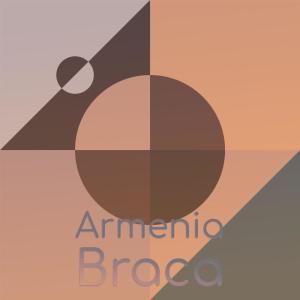 Various Artists的專輯Armenia Braca