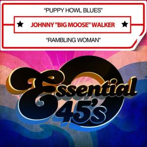 收聽Johnny "Big Moose" Walker的Rambling Woman歌詞歌曲