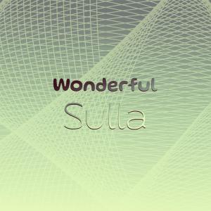 Various Artists的專輯Wonderful Sulla