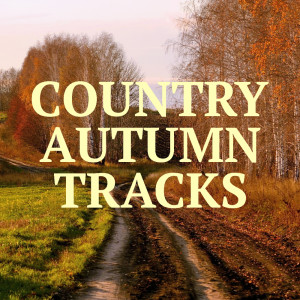 Listen to The Bow-Legged Irishman song with lyrics from Ted Gossett