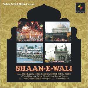 ดาวน์โหลดและฟังเพลง Main Toh Deewani Deewani พร้อมเนื้อเพลงจาก Reema