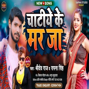Listen to Aawa Chat Ke Mar Ja song with lyrics from Sridev Raj
