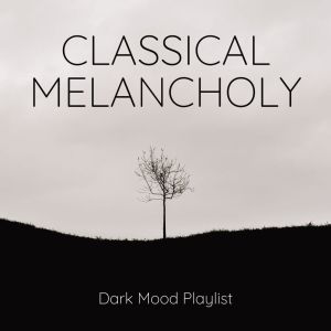 Album Classical Melancholy Dark Mood Playlist oleh Chopin