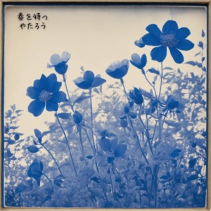 Album wait for spring from 