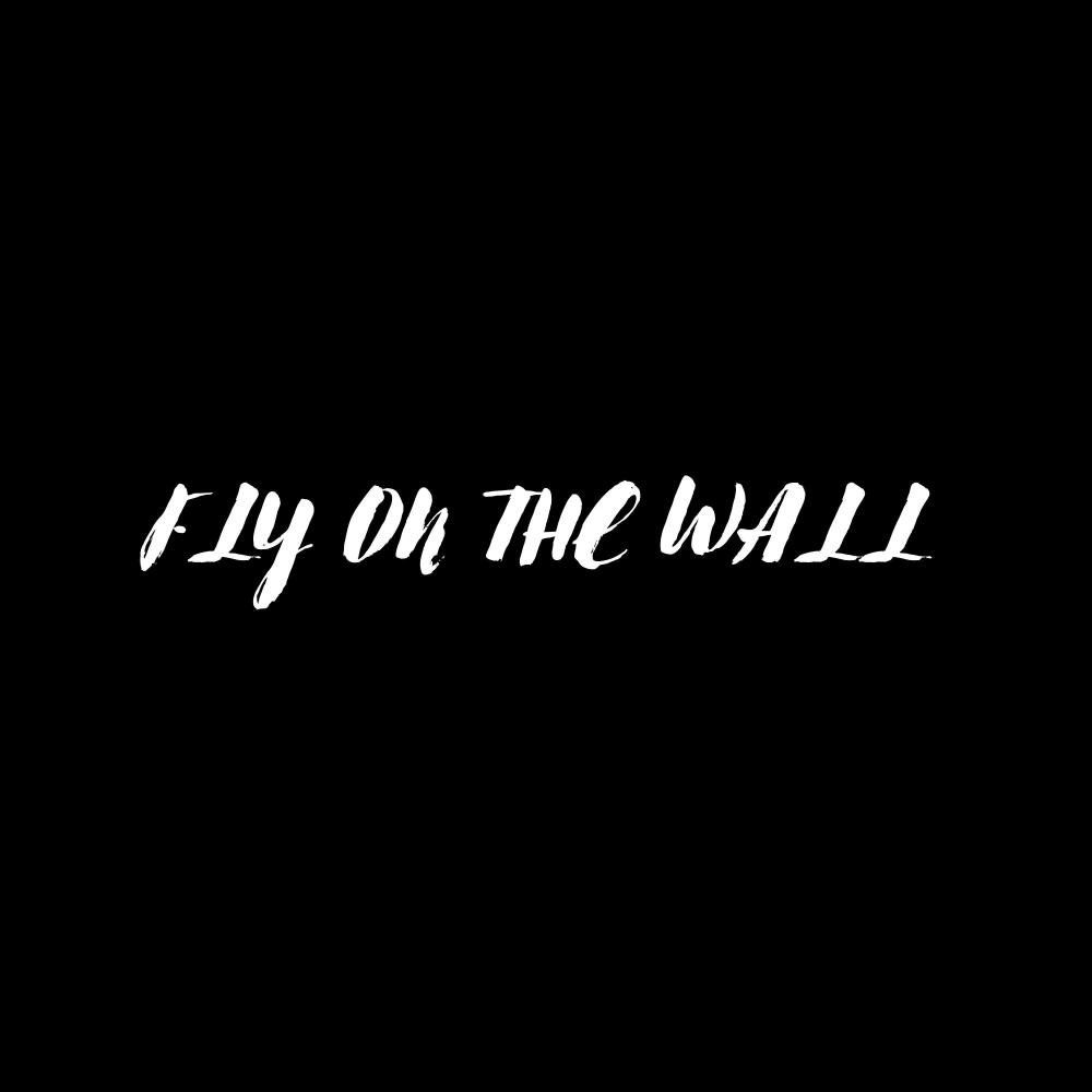 FLY ON THE WALL (Explicit)